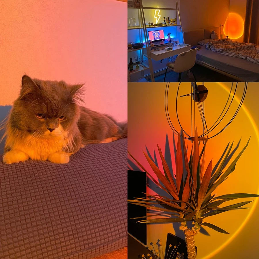Neon Nest